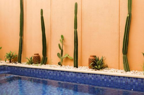 a group of cacti and plants on a wall near a pool at Pasir 2 - A stylish 2 bed villa in Bingin w pool in Bingin Beach