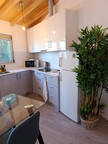 a kitchen with a white refrigerator and a table at Quintal do Olival- Um refúgio na Natureza in Lousã
