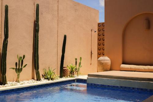 a swimming pool in a house with cactus at Pasir 4 - A stylish 2 bed villa in Bingin w pool in Bingin Beach