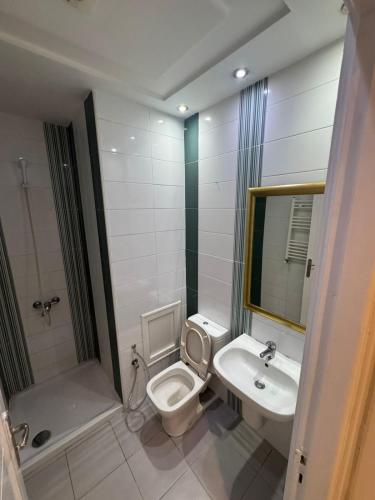 a bathroom with a toilet and a sink and a shower at Résidence les jasmins l''aouina in Tunis