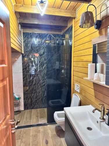 a bathroom with a shower and a toilet and a sink at Modatepe Bungalow & Otel in Uğurlu