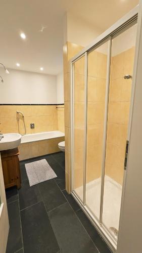 a bathroom with a shower and a toilet and a sink at Almrose Zauber by Alpenchalet Almrose in Oberau