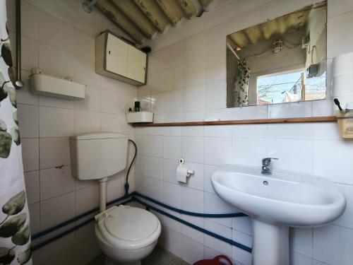 un bagno con un water e un lavandino di Agra Pet Studio I a Milheirós