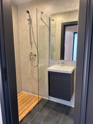 a bathroom with a shower and a sink and a mirror at Sauna & stay in Engure