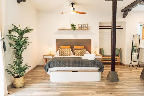 Apure Apartment - Downtown La Laguna