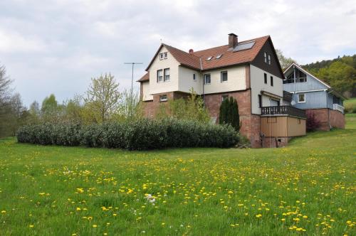 a house on a hill with a field of flowers at Ferienunterkünfte Zur Mühle in Mossautal