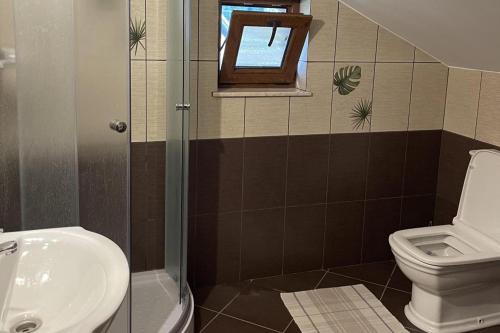 a bathroom with a toilet and a sink at Bucovina-MountainHouse-5Br-Fireplace-HotTub-WiFi in Suceviţa