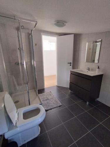 a bathroom with a toilet and a shower and a sink at Casa da Nogueira in Paredes de Coura