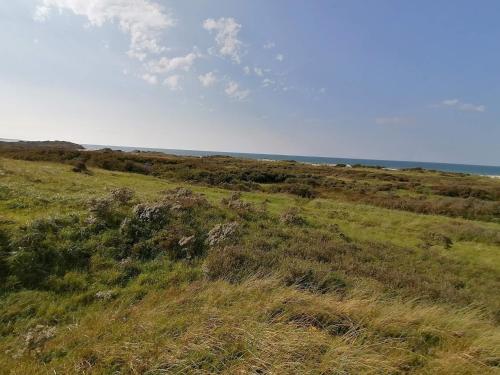 a grassy hill with the ocean in the background at Family Retreat in Lodskovvad - By Traum Ferienwohnungen in Hedensted - Nordjylland