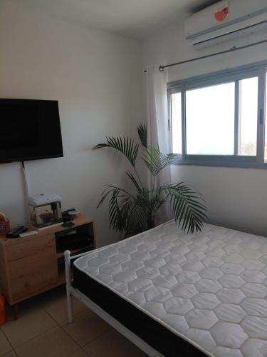 Llit o llits en una habitació de מגדלי אילת