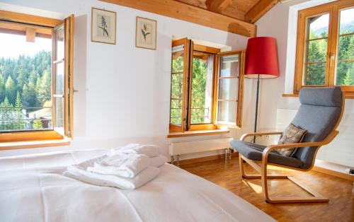 Charming ski-in ski-out mountain hut