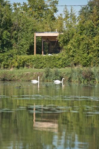 EXCLUSIVITE Lodge haut de gamme avec bain nordique privatif au bord du canal à 1h15 de Paris