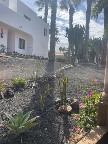 Κήπος έξω από το B-Rent Suite Casa Ventura
