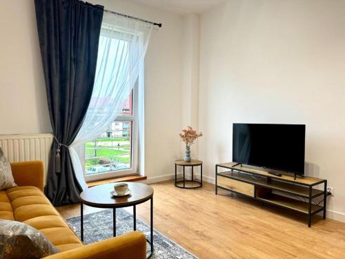 Una sala de estar con un sofá y un televisor. en Apartament Zagrodowa, en Oświęcim