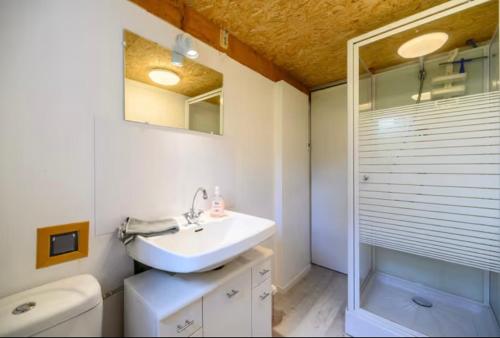 une salle de bain avec un lavabo, des toilettes et une douche dans l'établissement Chalet SOL LA MI, à Soultzeren