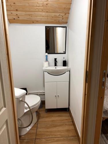 SăgageaにあるMontain Cabin Apuseniのトイレと洗面台のある小さなバスルーム