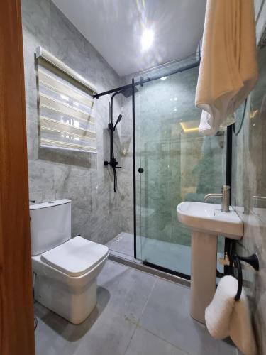 a bathroom with a shower and a toilet and a sink at Bextro Suites Magodo Phase 1 Cozy 2 Bedroom Apartment with Washing Machine in Iseri-Oke