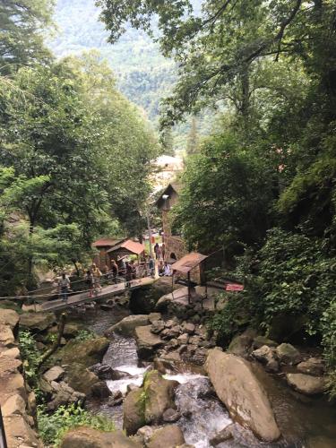 Gallery image of Inn Daviti in Chakvi