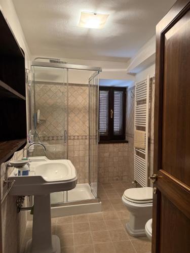 a bathroom with a shower and a sink and a toilet at La Terrazza di Collepino in Collepino