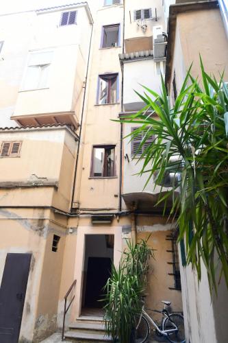 Casa Iris