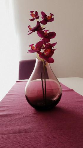 Apartment Soric