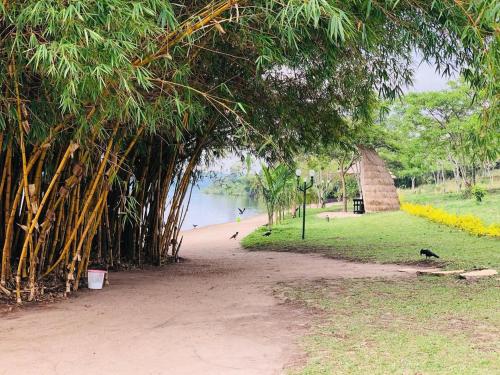 a dirt path next to a river with trees at Muhazi Flowers Beach & Resorts in Rwamagana