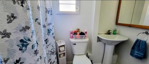 a bathroom with a white toilet and a sink at Welcome to Bluebird Cottage in Lakeview