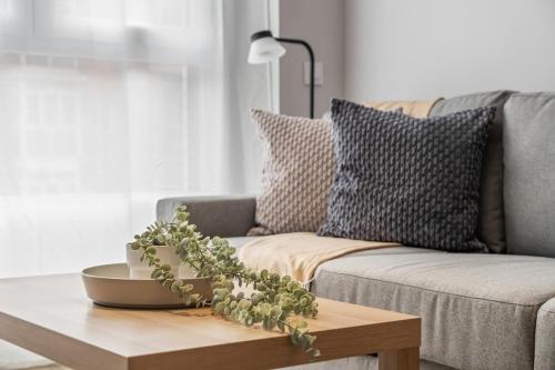 Accessible flat near the Toledo Bridge - 3B