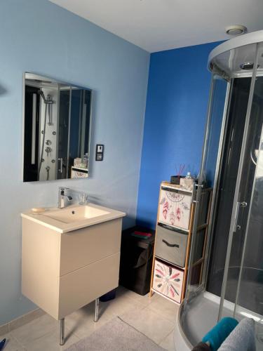 a bathroom with a sink and a shower at Chez Nouchka 
