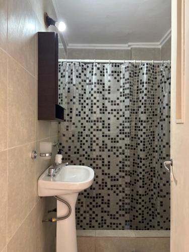 a bathroom with a sink and a shower at Bnb Loft XXIV in Rosario