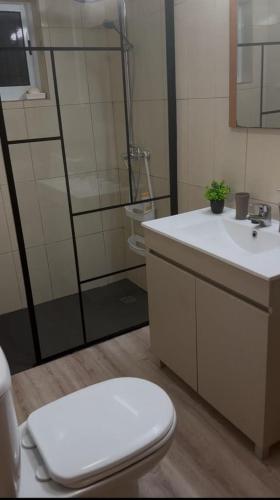 a bathroom with a toilet and a sink at Casinha Santa Maria in Vila do Porto