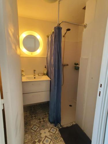 een badkamer met een douchegordijn en een wastafel bij Bel appartement centre Le Palais in Le Palais