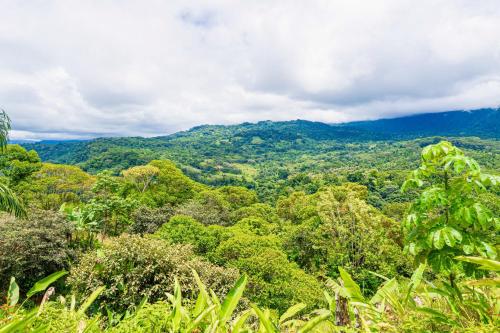 Gallery image of Casa Morpho in San Luis