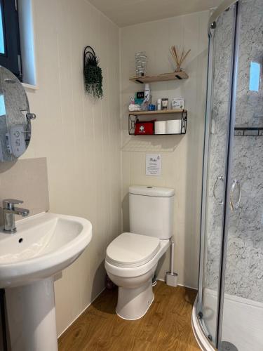 a bathroom with a toilet and a sink and a shower at The Snug in Yeovil