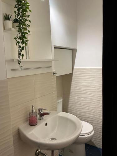 a bathroom with a sink and a toilet with a plant at BACCANO Guest House in Montepulciano
