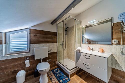 une salle de bain avec toilettes, douche et lavabo dans l'établissement Apartment Ivana near the beach, à Otočić Ošjak