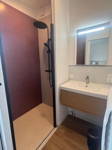 a bathroom with a sink and a shower with a mirror at DACSE-VILLAGE - Gite 01 in Dax