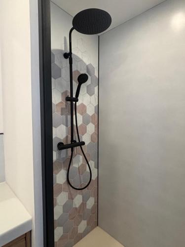 eine Dusche in einem Badezimmer mit Duschkopf in der Unterkunft DACSE-VILLAGE - Gite 02 in Dax