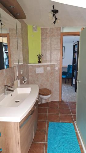 a bathroom with a sink and a toilet at Apartment Dorfblick in Hartmannsdorf