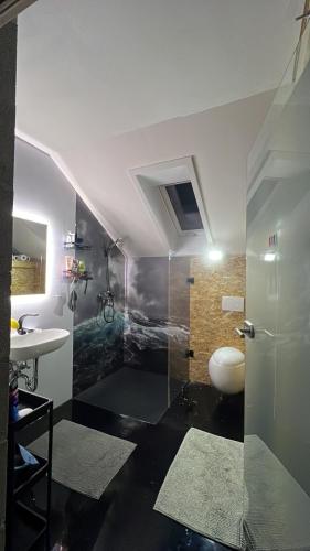 a bathroom with a shower and a toilet and a sink at Ölschnitzer Loft in Lampertswalde