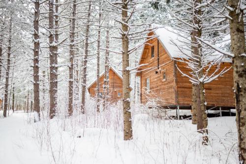 een houten hut in het bos in de sneeuw bij Huttopia Les Deux Lacs - Laurentides in Saint-Faustin