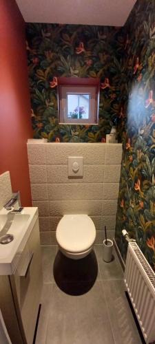 ein Badezimmer mit Toilette und Waschbecken und einem Fenster in der Unterkunft La Valériane in Moyeuvre-Grande