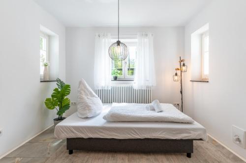 a bed in a white room with a potted plant at Bodensee Gateway - Stockach in Stockach