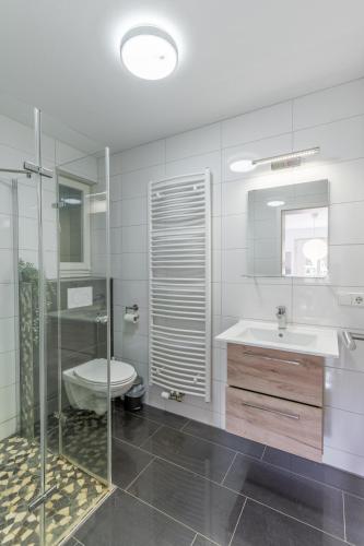 a bathroom with a sink and a shower and a toilet at Bodensee Gateway - Stockach in Stockach