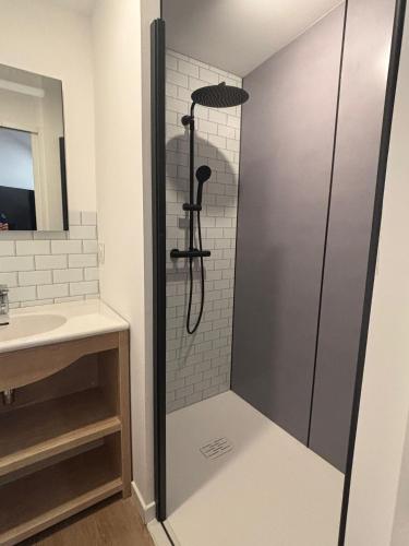 a shower in a bathroom with a sink at DACSE-VILLAGE - Gite 04 in Dax