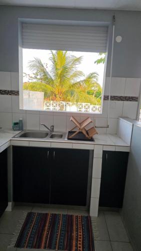 una cocina con ventana y un fregadero con arco en La fleur de lune, en Cabassou