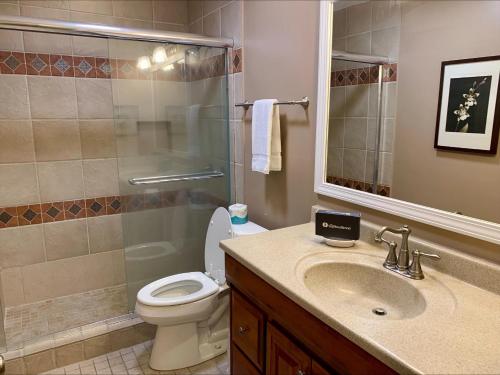 ein Badezimmer mit Toilette, Waschbecken und Dusche in der Unterkunft 928 Cutter Court at The Sea Pines Resort in Hilton Head Island