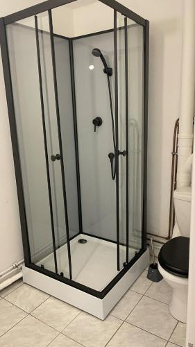 a glass shower in a bathroom with a toilet at Studio 3 Apartment with Unique Cathedral View in Meaux