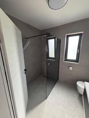 a bathroom with a shower stall and a toilet at Kuća za odmor Husinec in Husinec