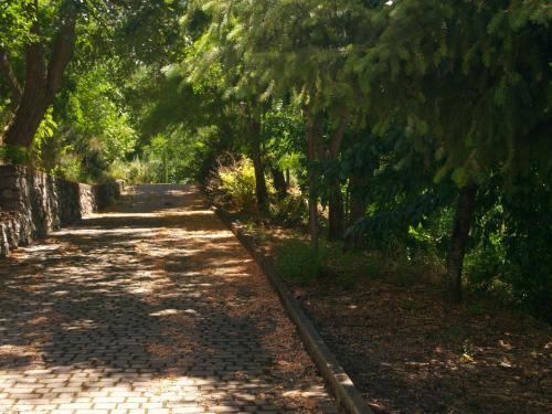 Gambar di galeri bagi B&B Mamma Elena di Rovito